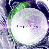 topology.jpg