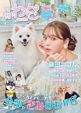 wanko_img.jfif
